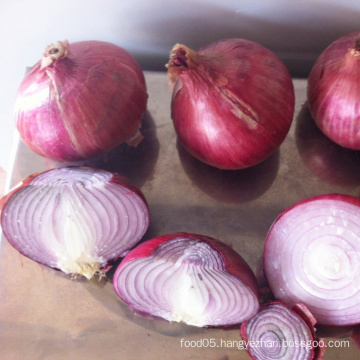 Chinese Frozen White Onion Slice, IQF Onion